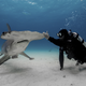 Image for article titled How losing a few limbs in a shark attack led Paul de Gelder to his Shark Week career